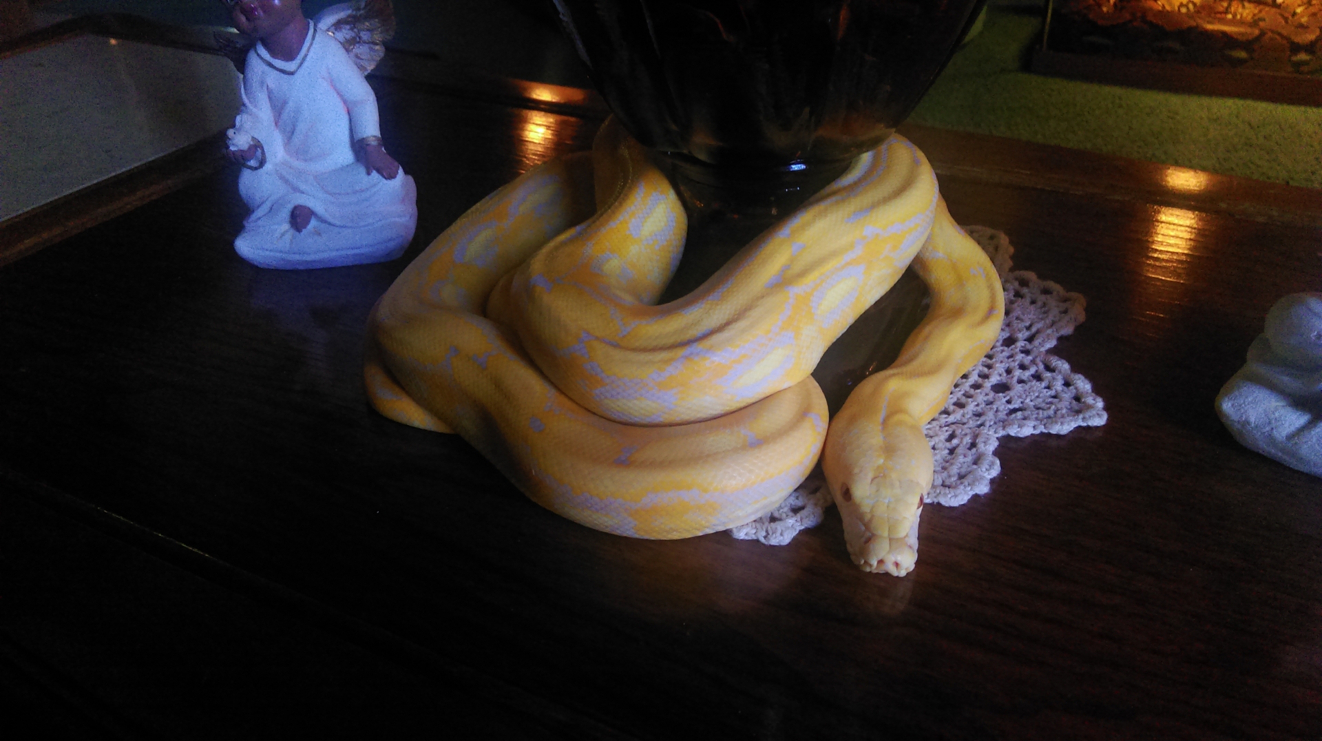 Show and Tell