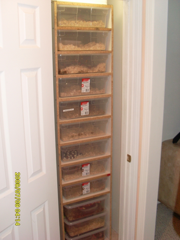 snake_rack