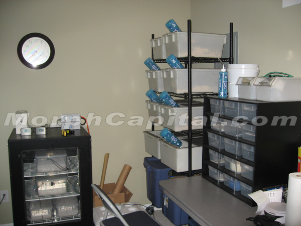 Snake_Room2