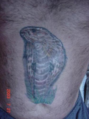 Spectacled Cobra Tattoo