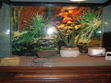 Spot and his Tank