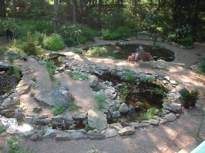 stream,fishpond