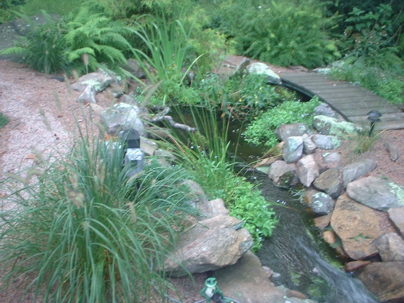 stream,wooden bridge