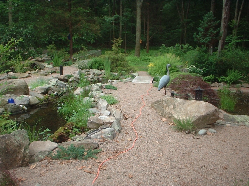 Stream