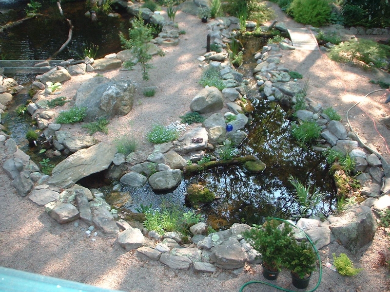 stream