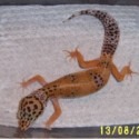 Tang Female Juvie