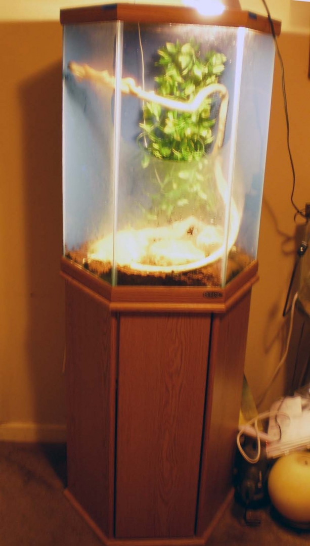 tank_and_stand