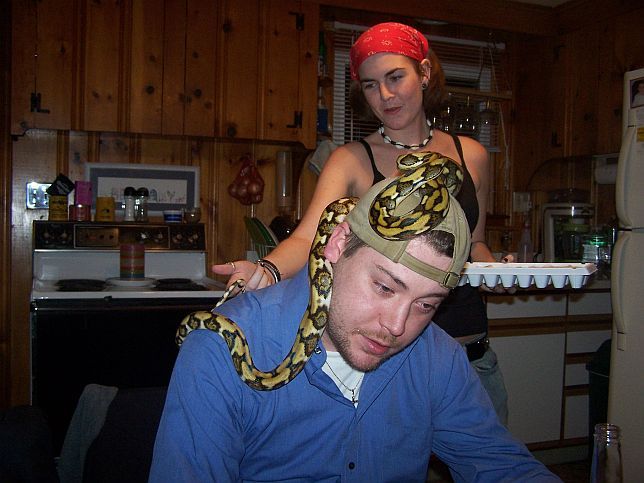 Tiger Het albino "Poker Face"