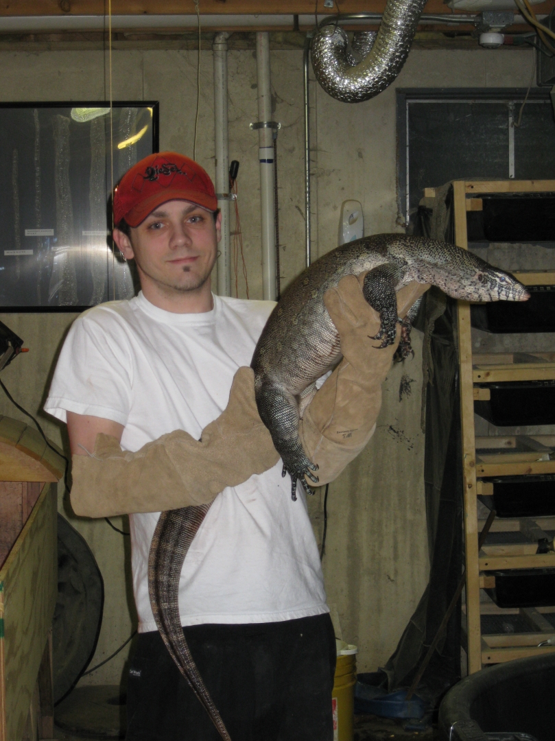 tortoise_4_sale_008
