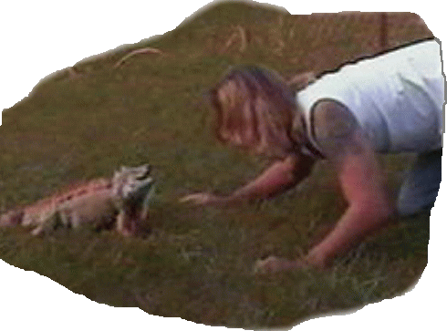 Training in the yard