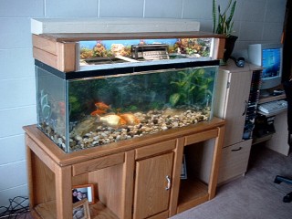 Turtle tank