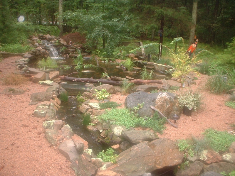 turtlepond 9/29/08