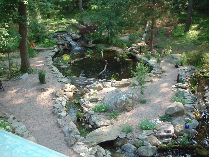 turtlepond +enclosure