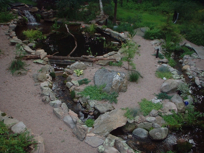 turtlepond,stream