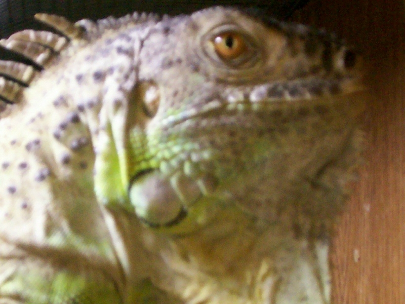 Up close and personal