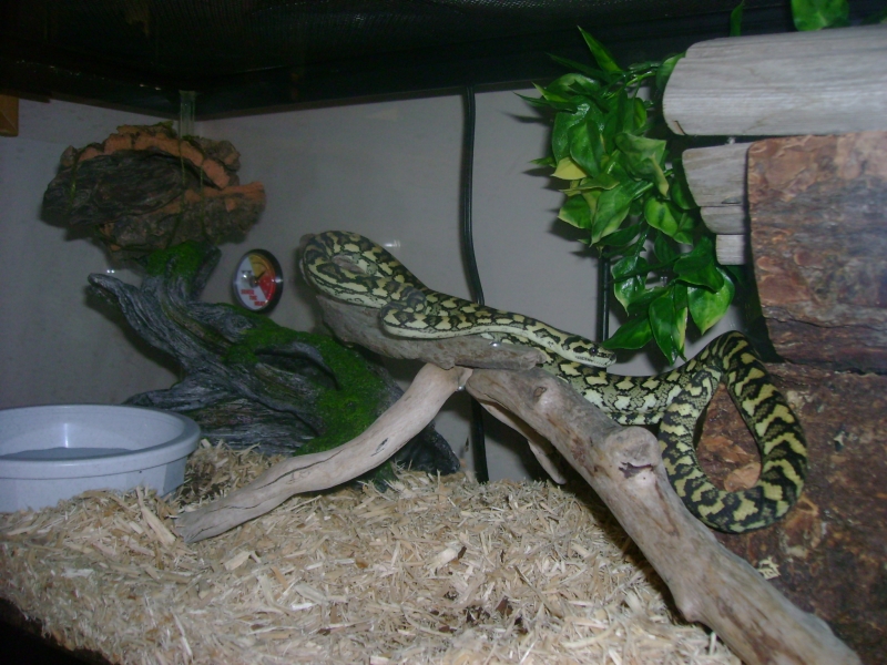 Updated Luci Pic 3