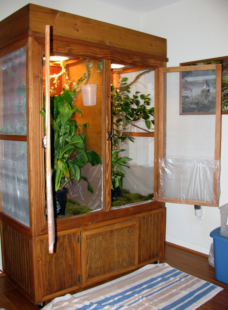 www_cagecompany_com_chameleon_set_up_screen