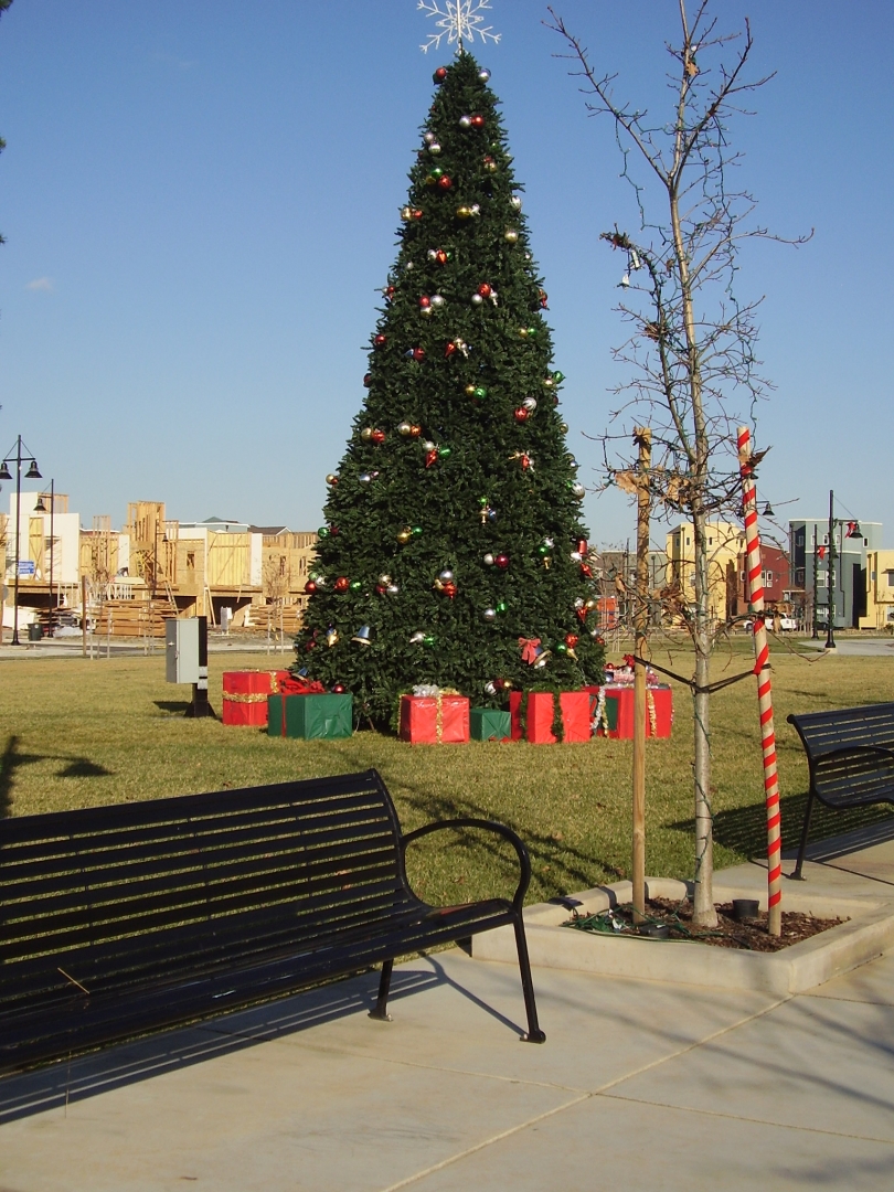 XMAS 2009