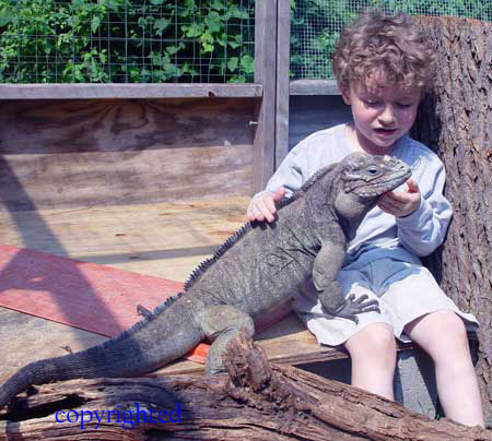 Zack and Jordan
