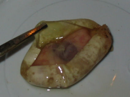 badeggpic1.jpg