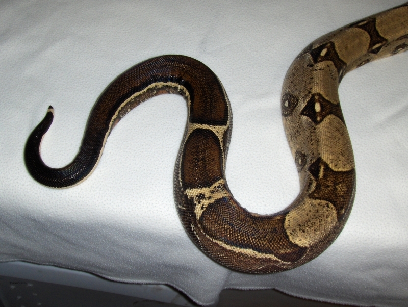 Various_015.jpg