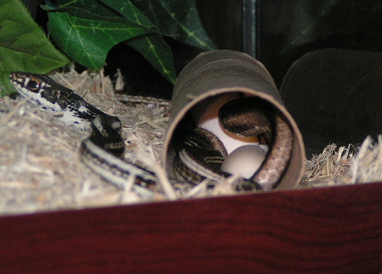 PICT00022.JPG