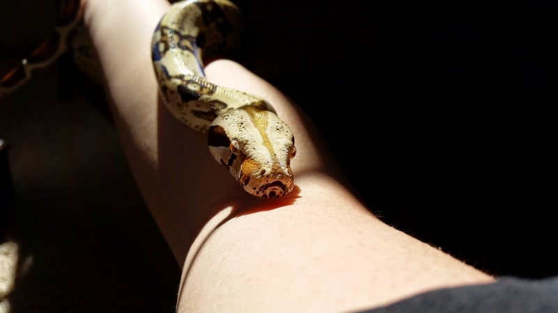 20150317_120850.jpg