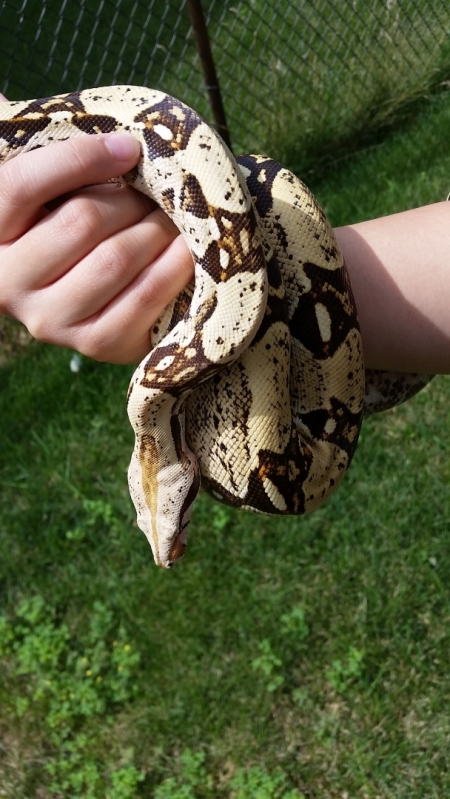 20150720_112131.jpg