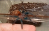 GBB-4months.jpg