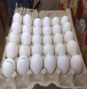 eggs1.jpg