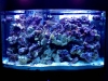 100_Gallon_5_16_14_1-2.jpg