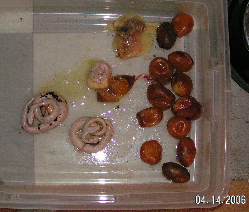 PICT0045.JPG