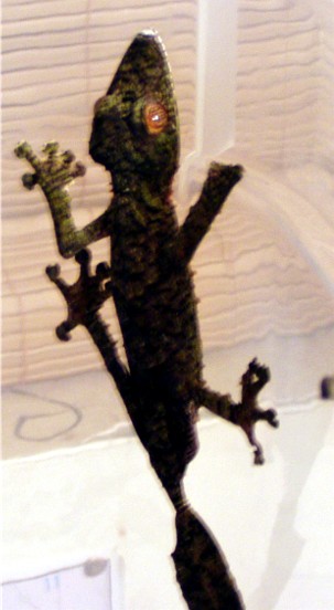 17177Fim_female_1.jpg