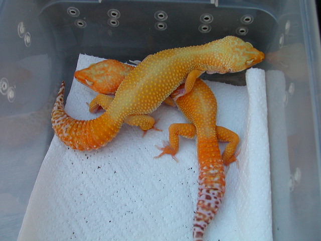 DSCN5722.JPG