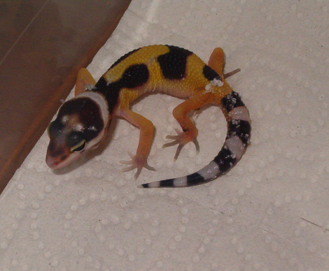baby2_05-10-06.JPG