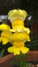 IMAG0577.jpg