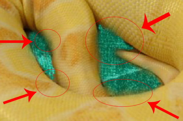 boa_ad_detail.jpg
