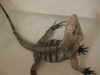 bth_image-1.jpg