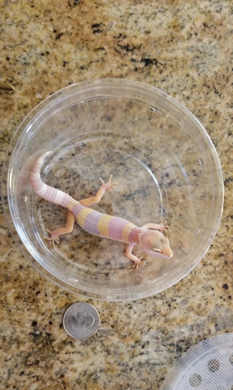 20180818_160313.jpg